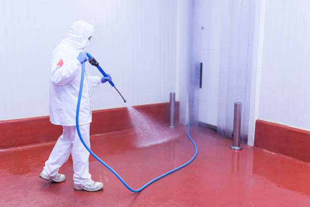 Best Roof Washing  in Whittier, CA
